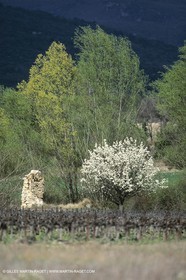 Payasages et villages du Parc National du Luberon(FRA,84)