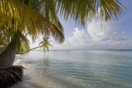 01 02 2008 - San Blas Archipelago (Panama) - Motor Yacht Senses