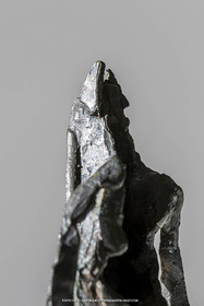 19 02 2020, Marseille (FRA), oeuvre de Germaine Richier, Chauve-souris 1965, Bronze patiné foncé, Numéroté 7 8, Fondeur L.Thinot, Paris, 15 x 11,2 x 7,5 cm, Collection Famille Germaine Richier