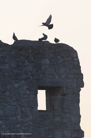 19 04 2018, Lacoste (FRA,84)