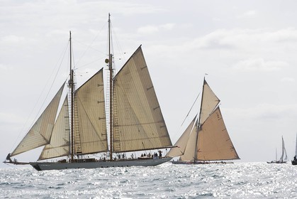YC9H4625