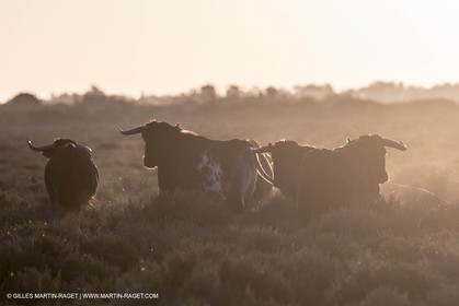 23 10 2014, Salins de Giraud (FRA,13), Salt & Speed 2014, Charlotte Consorti