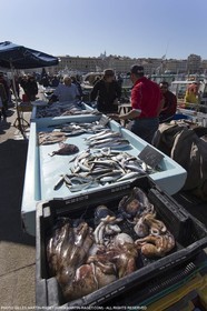 07 03 2014 - Marseille (FRA,13) - Vieux Port (Historical port)