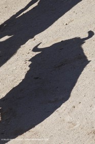 Monday 05 04 2010 - Arles (FRA,13) - Feria 2010 - -Corrida de rejon - Fermin Bohorquez - Pabloe Hemoso de Mendoza - Andy Cartagena - Toros Bohorquez