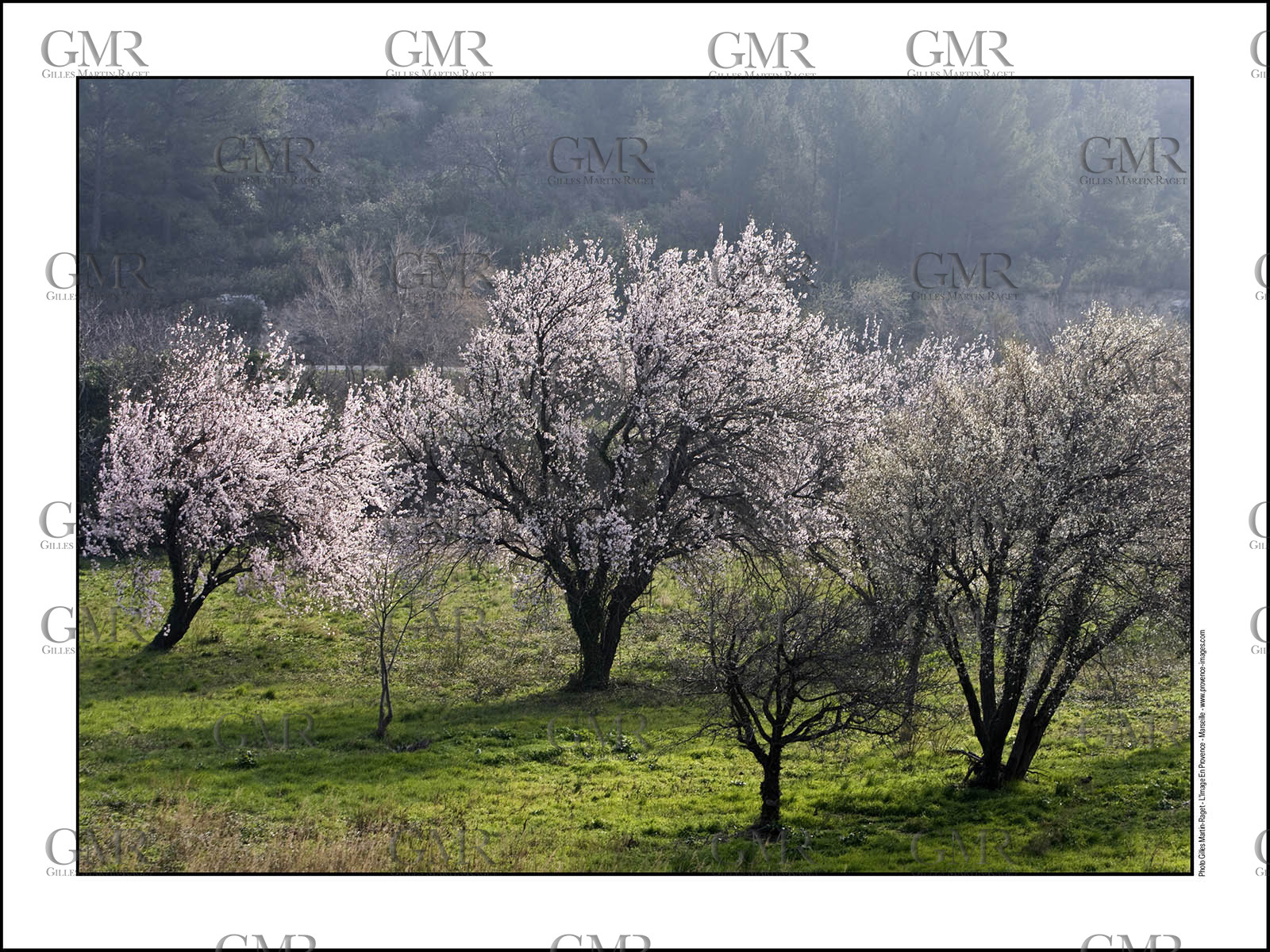 Product: in house made quality print on 8 ultrachome colors Epson ink Jet printer.Available sizes: . 30x40 cm. 50x70 cm. 80x120 cmAvailable papers: . Standard 250 gr glossy paper print, black streak, white margin, no signature. Top quality glossy 290 gr. paper, black streak, white margin, checked and signed by the author. Fine Art print (signed, numbered, stamped, registered) on demand. Other supports (Canvas, Acrylic, Metal) on demandPackaging: cylindric reinforced tubeShipping options: regular mail or Shipping companyClick on the basket icon to select your options and start the online ordering process