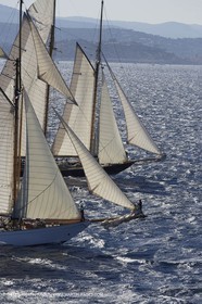 07 10 2006 - Saint Tropez (Fr) - Voiles de Saint Tropez 2006 - Classic Yachts