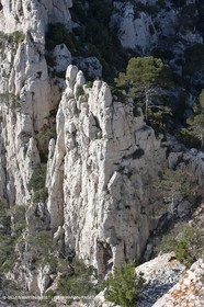 06 05 2009 - Marseille (FRA, 13) - Les Calanques - Sur le plateau de Castelviel - Calanque de Loule