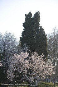 09 02 2008 - Les Baux de Provence (FRA, 13) - Alpilles hills landscapes