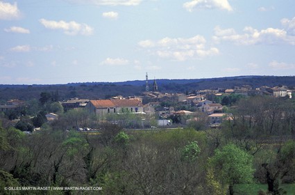La Calmette