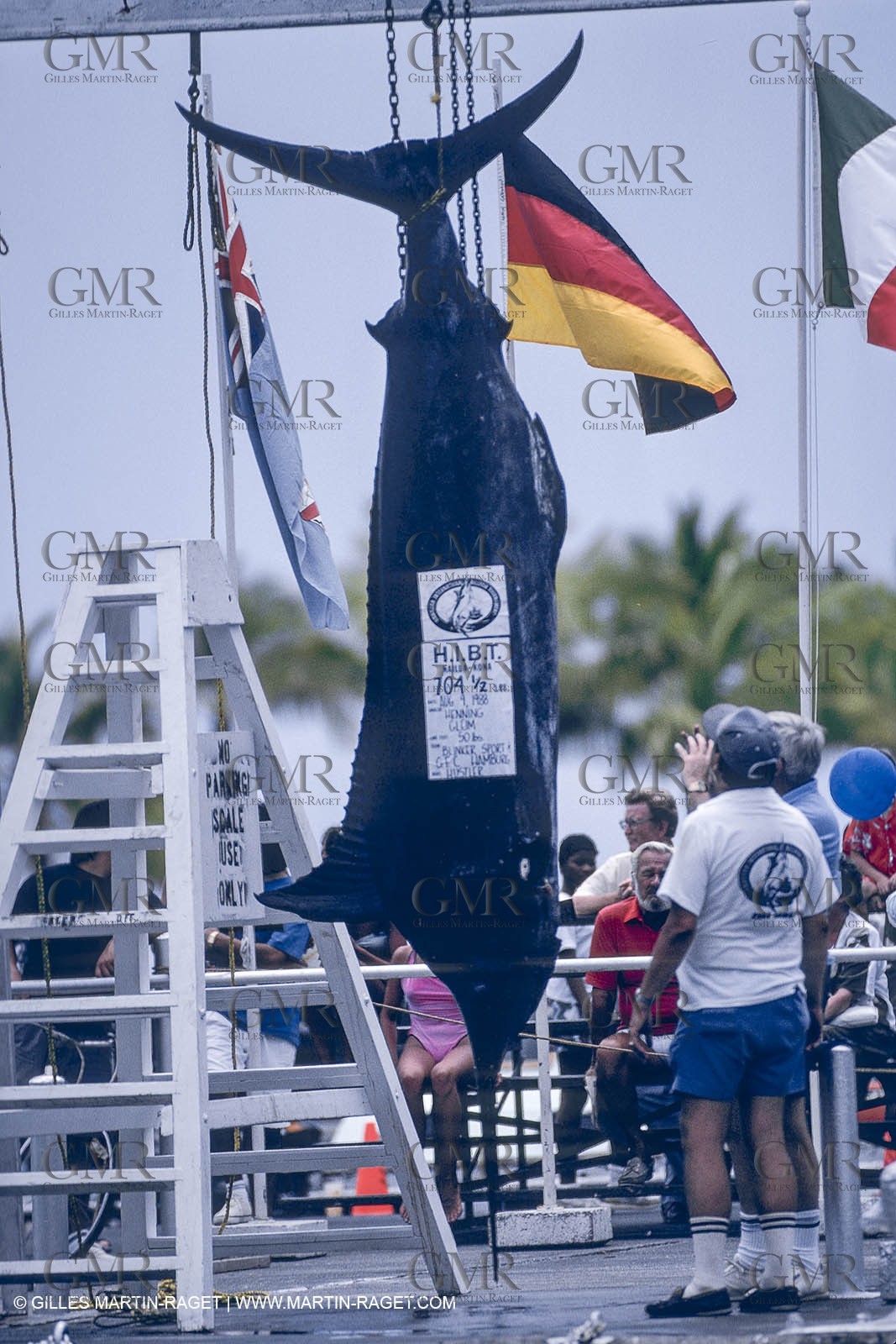 Water sports, Sportfishing, pêche au gros