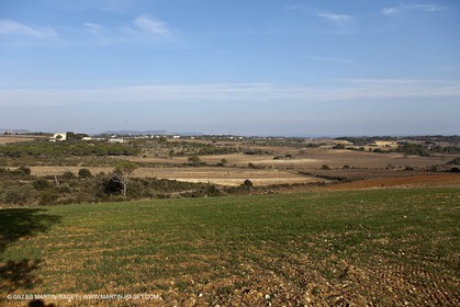 Saint Drézéry (FRA, 34), Domaine de Puech Haut
