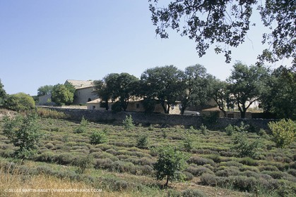 France, Provence, Haute Provence, Val de Durance, Durance river valley