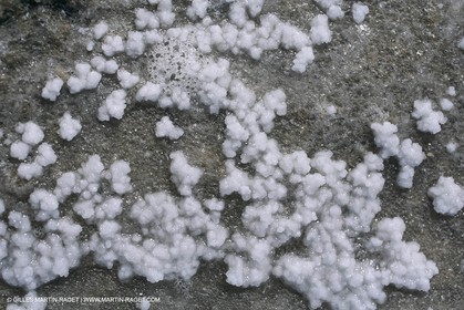 France, Provence, Marais salants, salted marshes, culture du sel, salt making, salt harvest