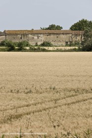 10 06 2008 - Arles and surroundings (FRA, 13) - Vincent Van Gogh south