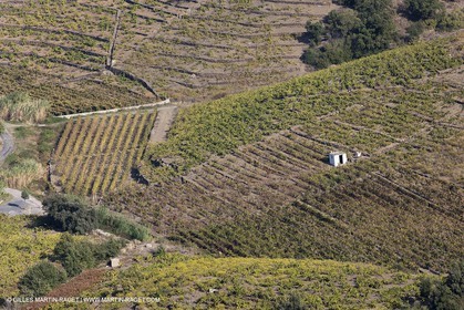 17 10 2011 - Côte Vermeille (FRA, 66) - Vgnobles des Corbières