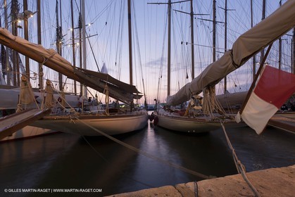 VST2011D1_3828.jpg