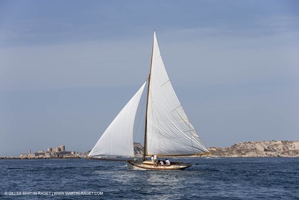 ALCYO014_1345