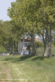 01 05 2008 - Arles (FRA,13) - Election de la Reine d'Arles