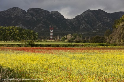 29 04 2012 ( Saint Rémy de Provence (FRA, 13) - Chaîne des Alpilles vers Romanin