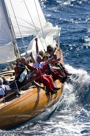 YC9H7339.JPG