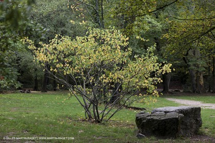 23 10 2012 - Gemenos (FRA) - Parc Départemental de la vallée de Saint Pons