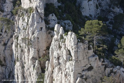 06 05 2009 - Marseille (FRA, 13) - Les Calanques - On Castelviel plateau - Calanque de Loule