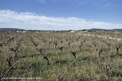 Nîmes Métropole landscapes (FRA,30) - Vaunage