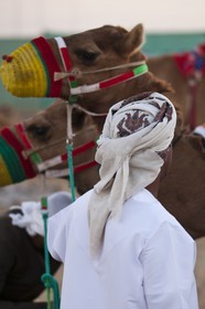 20 11 2010 - Dubai (UAE) - Camel races