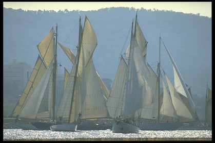 Voiles de Saint Tropez