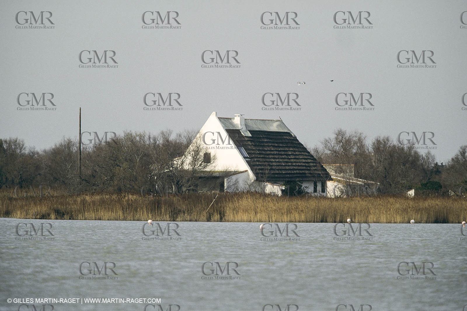 France, Provence, Camargue, Cabane de gardian, Gardian quant