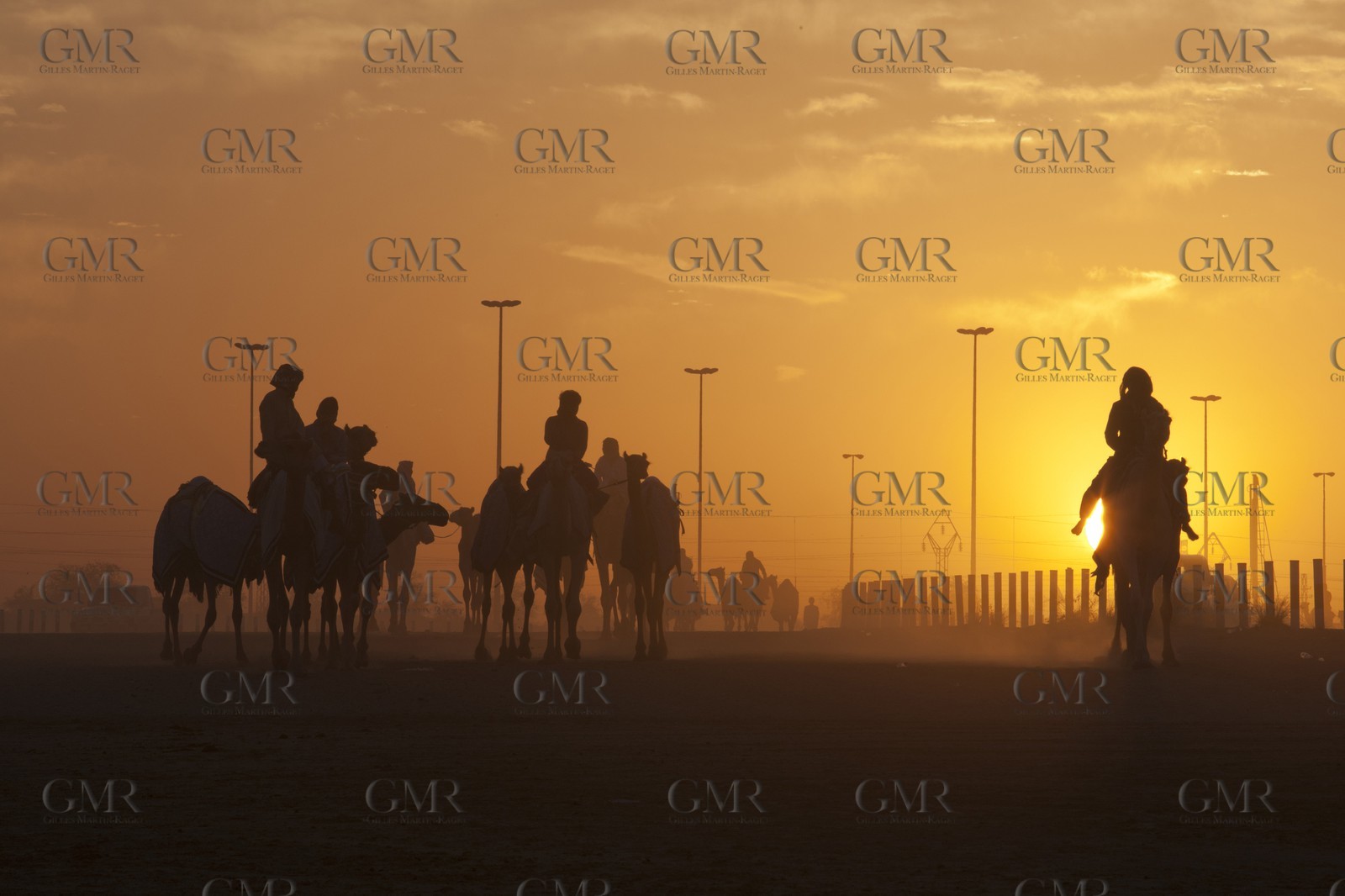 20 11 2010 - Dubai (UAE) - Camel races