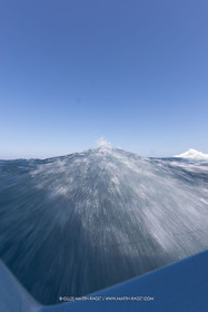 GMR_5656.jpg