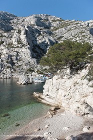 27 03 2009 - Marseille (FRA, 13) - Les Calanques - Morgiou