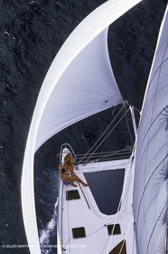 Multicoque sous voile