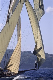 Sailing, Classic yachts, Voiles de Saint-Tropez 2003