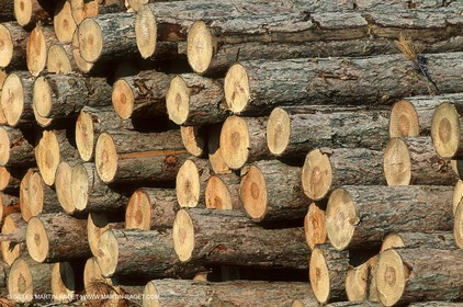 France - Southern Alps