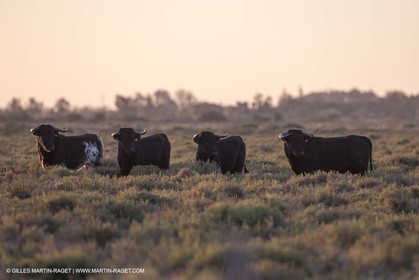 23 10 2014, Salins de Giraud (FRA,13), Salt & Speed 2014, Charlotte Consorti