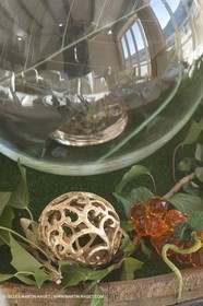 22 12 2008-Cabasse (FRA,83) - Domaine du Lac