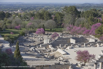 12 04 2008 - Saint Rémy de Provence - (FRA,13) - Le Midi de Van Gogh - site archéologique romain de Glanum