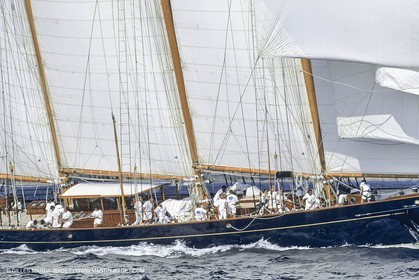 Nioulargue Voiles de Saint Tropez