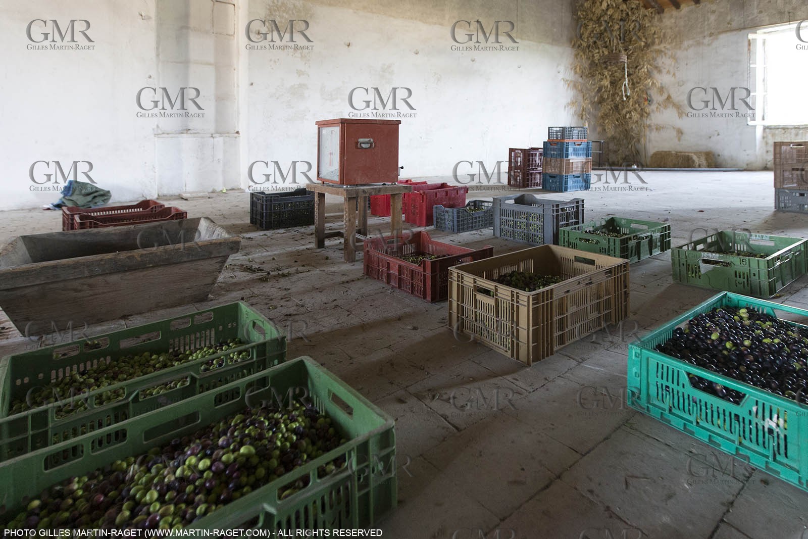 14 11 2015, Saint-Etienne du Grès (FRA,13), traditional making of olive oil at La Croix mill