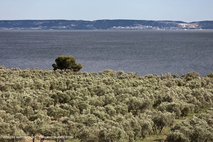 13 06 2012 - Saint Chamas (FRA,13)