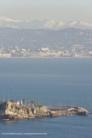 06 02 2008 - Théoule sur mer (FRA, 06) - Mimoses in full flower