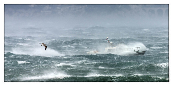 Product: in house made quality print on 8 ultrachome colors Epson ink Jet printer.Available sizes: . 50 x 100 cm. 100 x 200 cmAvailable papers: . Standard 250 gr glossy paper print, black streak, white margin, no signature. Top quality glossy 290 gr. paper, black streak, white margin, checked and signed by the author. Fine Art print (signed, numbered, stamped, registered) on demand. Other supports (Canvas, Acrylic, Metal) on demandPackaging: cylindric reinforced tubeShipping options: regular mail or Shipping companyClick on the basket icon to select your options and start the online ordering process