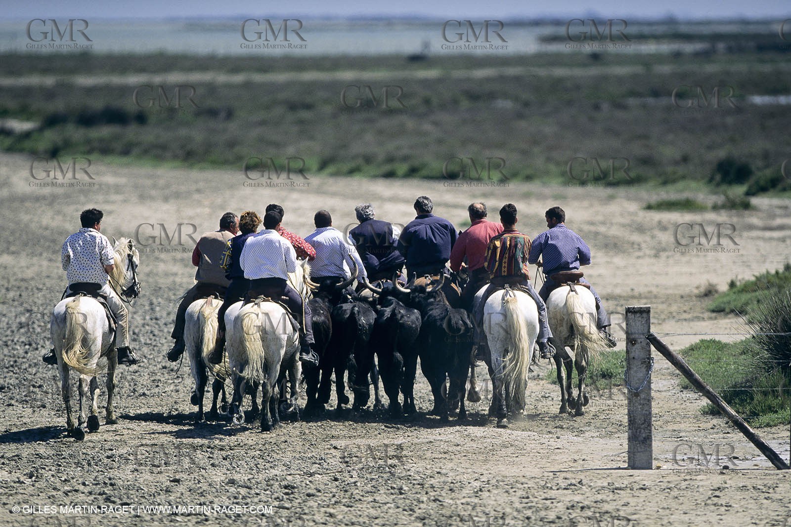 Camargue (FRA,13) - Gardians