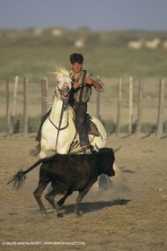 France, Provence, Camargue, Gardians de Camargue, métier, fêtes, élevage, tri