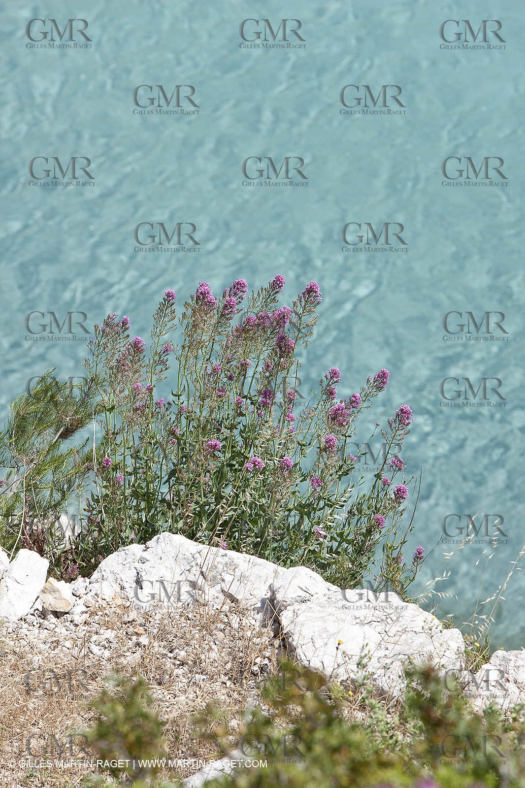 27 05 2009 - Marseille (FRA, 13) - Les Calanques - Sormiou