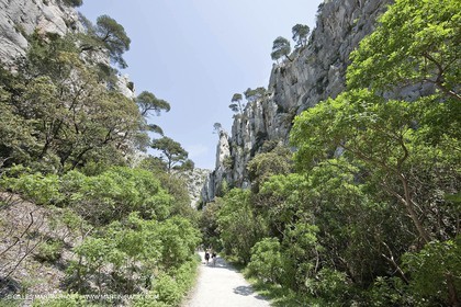 03 05 2009 - Marseille (FRA, 13) - Les Calanques - En Vau - Vallon d' En vau