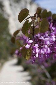 26 03 2009 - Marseille (FRA, 13) - Les Calanques - Sugiton