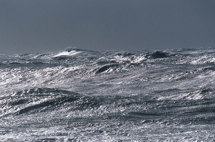 tempest